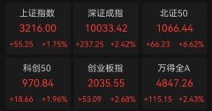 A股迎来普涨行情 科技题材股飙涨！